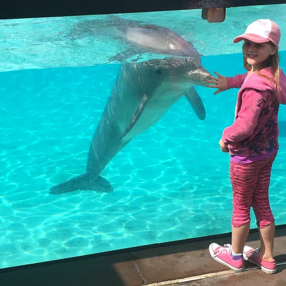 Meet your Posher - John, Claire and Kendall - Picture 1 of 2